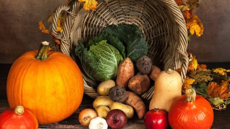 Снимка: Pixabay