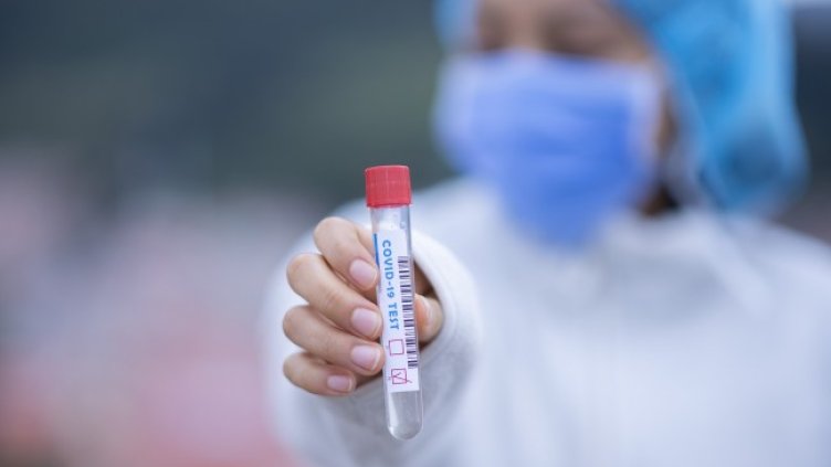 Снимка: Pixabay