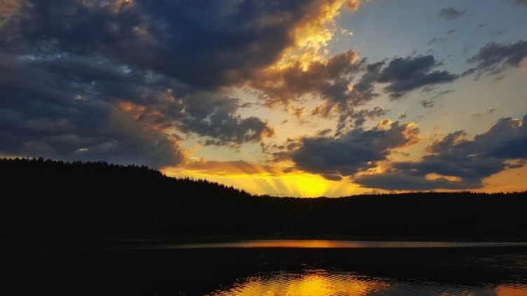 Снимка: архив, БГНЕС