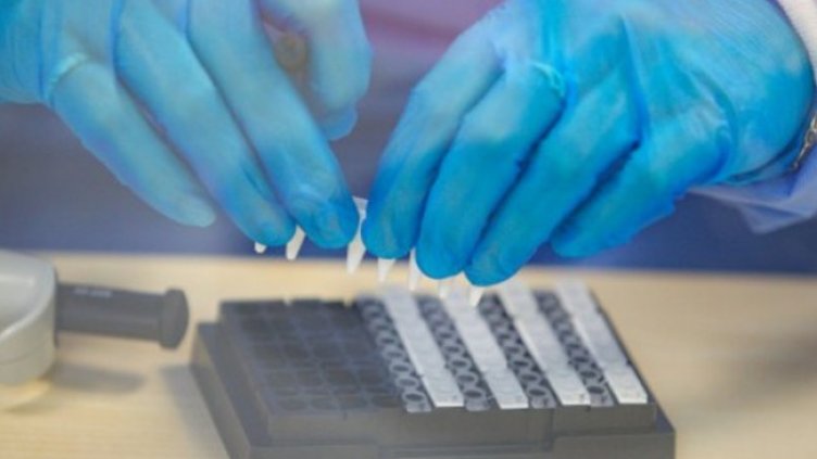 Снимка:Димитър Кьосемарлиев, Dnes.bg