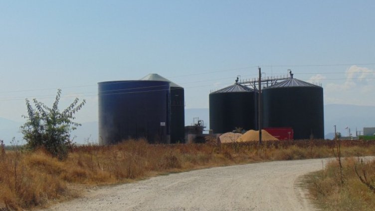 Снимка: БГНЕС