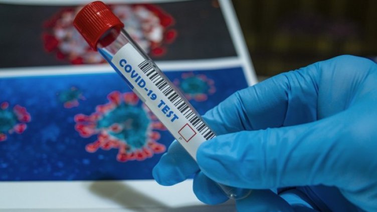 Снимка: Pixabay