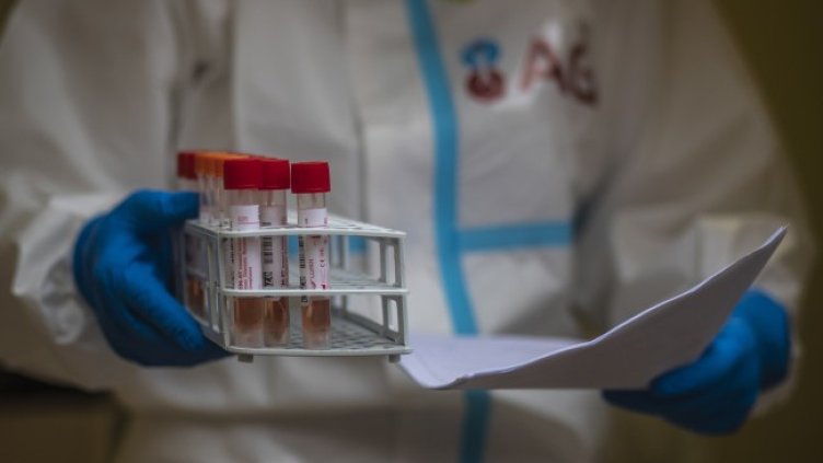 Снимка: БГНЕС