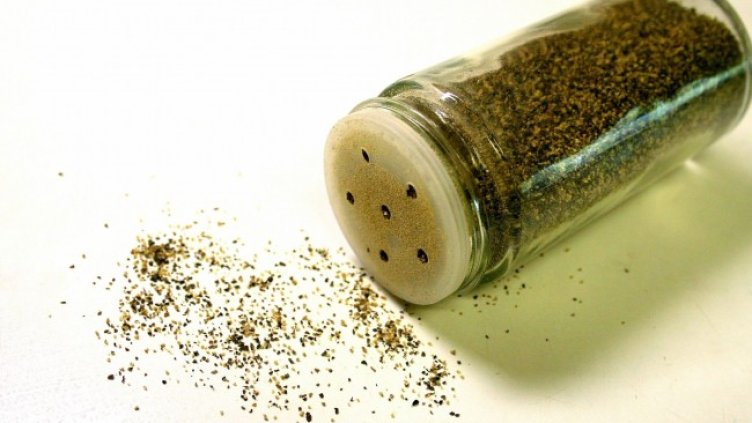 Снимка: Pixabay