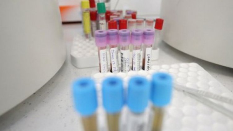 Снимка: Димитър Кьосемарлиев