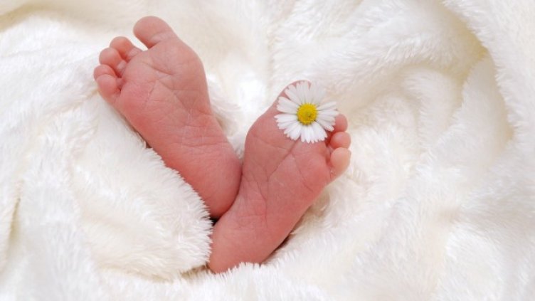 Снимка: Pixabay