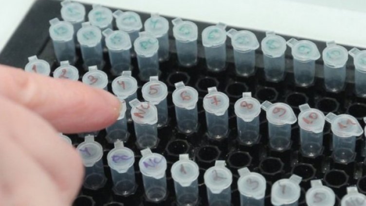 Снимка:Димитър Кьосемарлиев, Dnes.bg