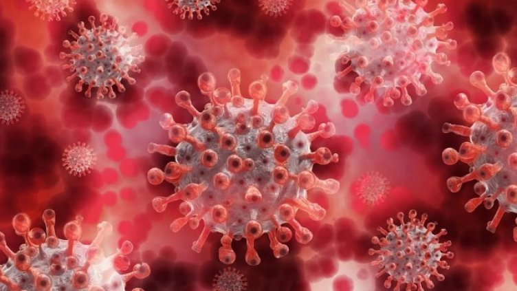 Снимка: Pixabay