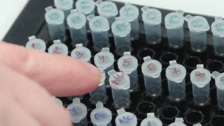 Снимка:Димитър Кьосемарлиев, Dnes.bg