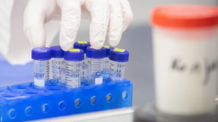 Снимка:Димитър Кьосемарлиев, Dnes.bg