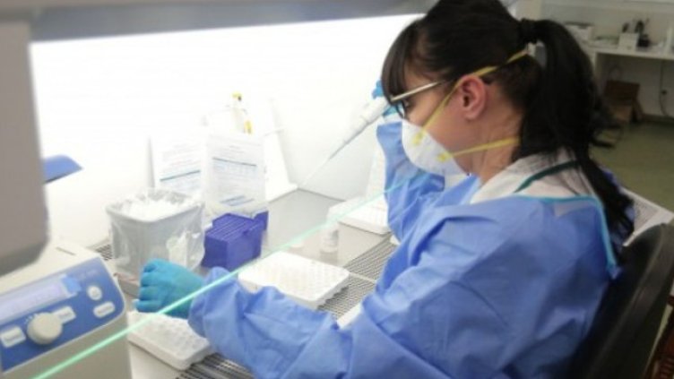 Снимка:Димитър Кьосемарлиев, Dnes.bg