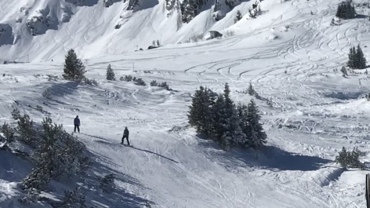 Снимка: БГНЕС