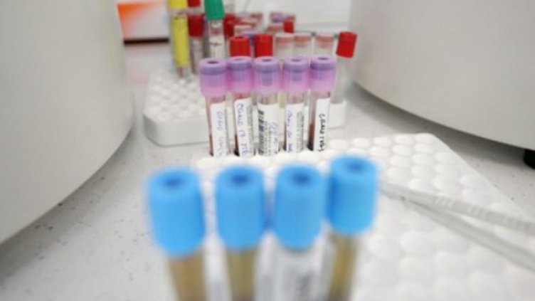 Снимка: Димитър Кьосемарлиев