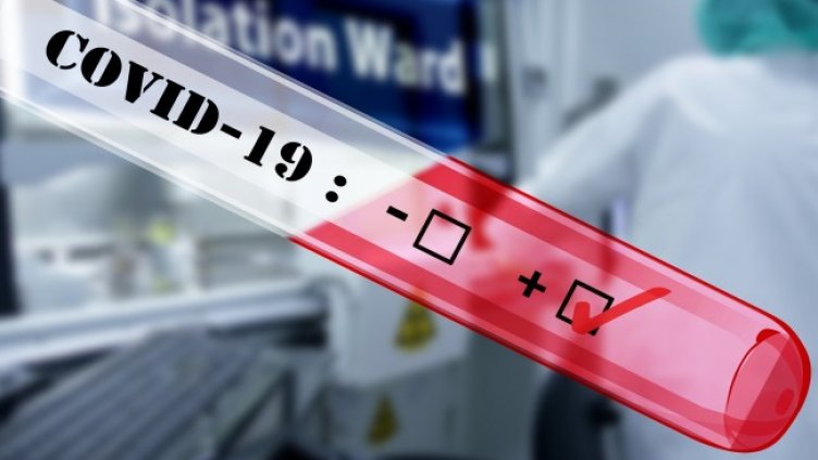 Снимка: Pixabay