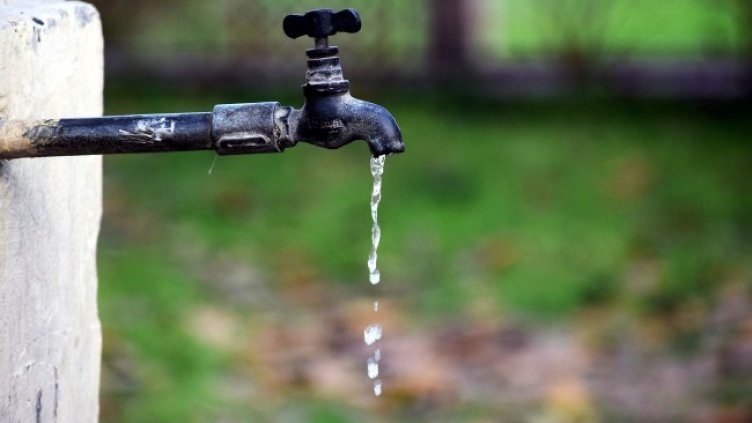 Снимка: Pixabay