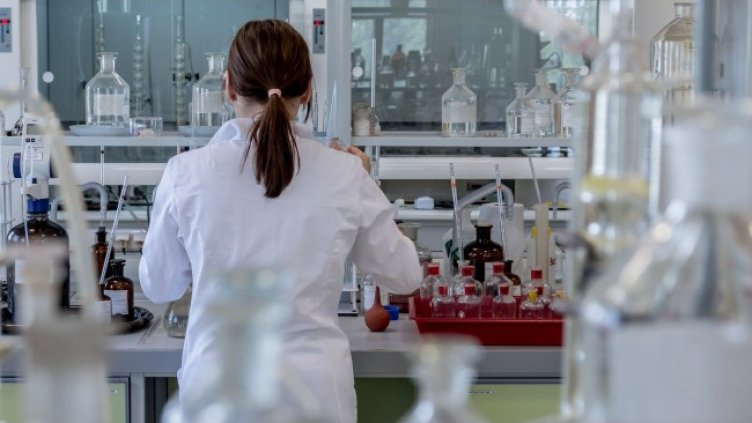 Снимка: Pixabay