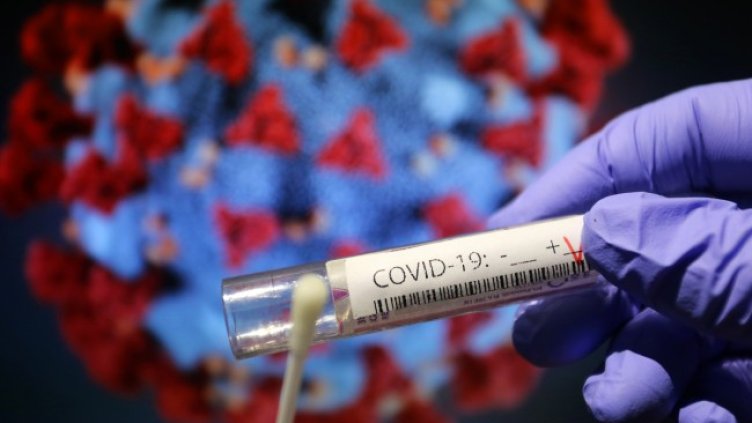 Снимка: архив, БГНЕС