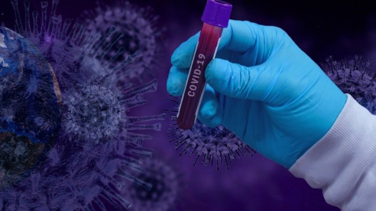 Снимка: Pixabay