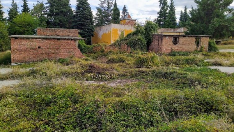 Снимка: Павел Гълъбов