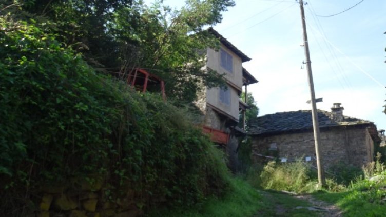 Снимка: архив, БГНЕС