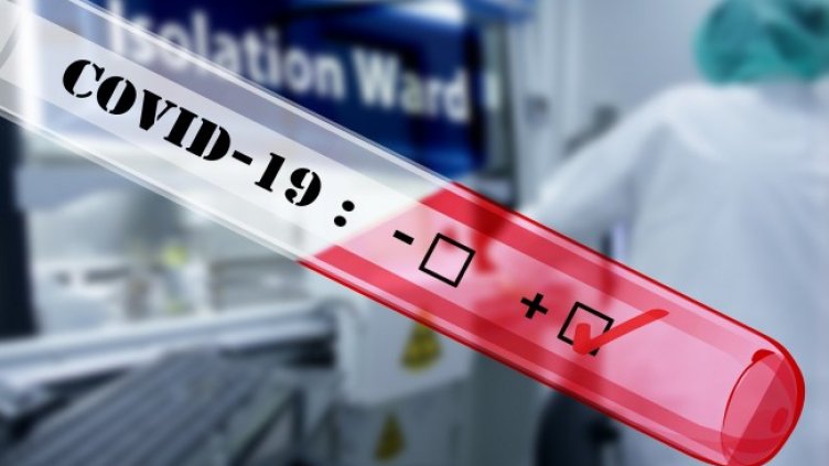 Снимка: Pixabay