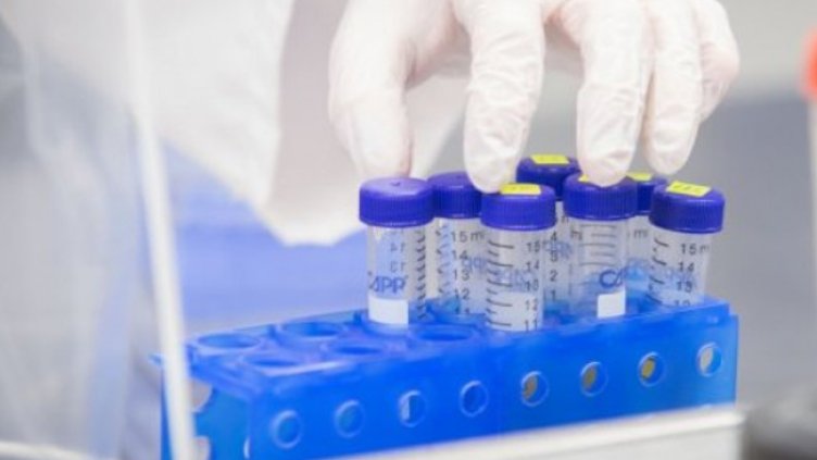 Снимка:Димитър Кьосемарлиев, Dnes.bg