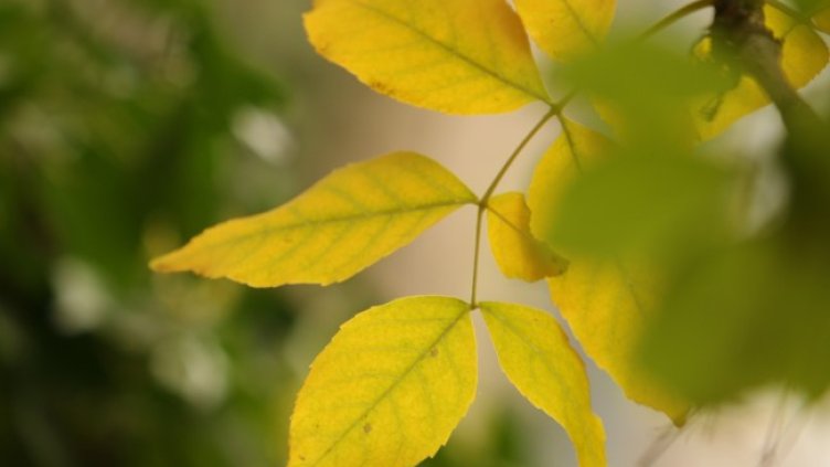 Снимка: архив, БГНЕС