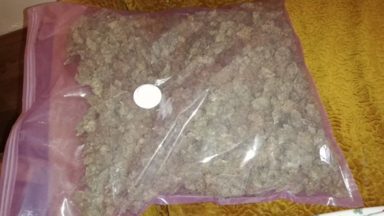 Снимка: БГНЕС, архив