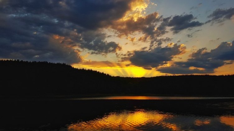 Снимка: архив, БГНЕС