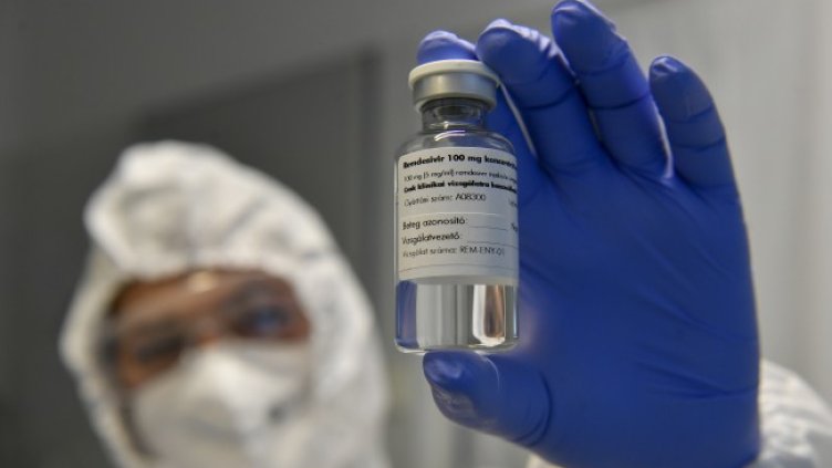 Снимка: архив, БГНЕС