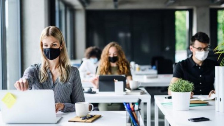 Снимка: IStock