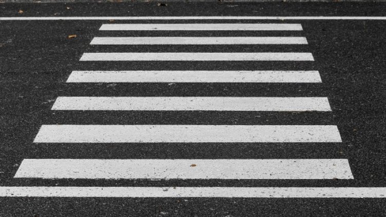 Снимка: Pixabay