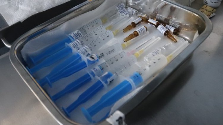 Снимка: архив, БГНЕС