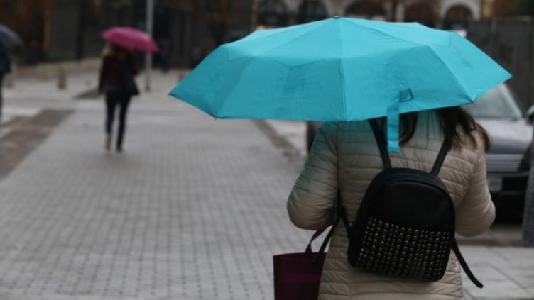 Снимка: архив, БГНЕС