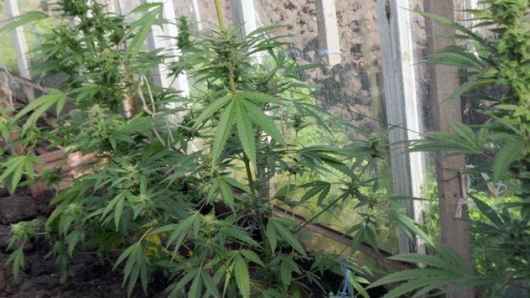 Снимка: МВР