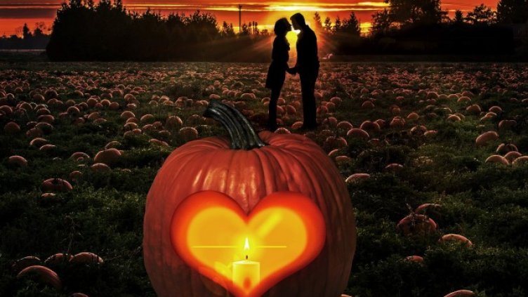 Снимка: Pixabay