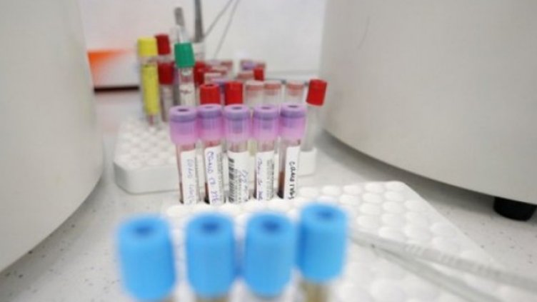 Снимка:Димитър Кьосемарлиев, Dnes.bg