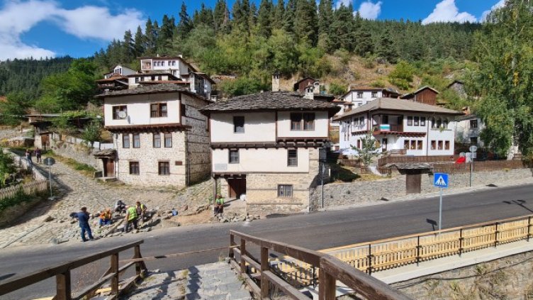 Снимка: БГНЕС