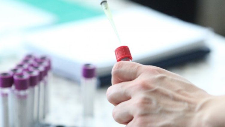 Снимка: архив, БГНЕС