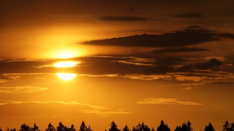 Снимка: Pixabay