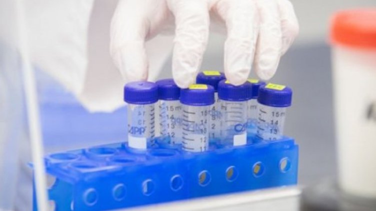 Снимка:Димитър Кьосемарлиев, Dnes.bg