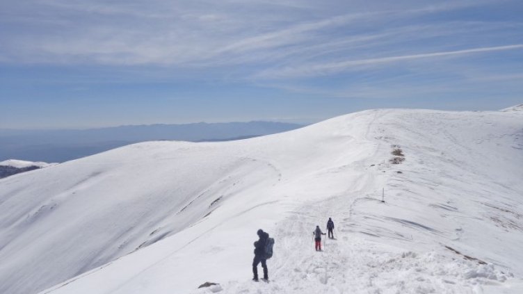 Снимка: Dnes.bg