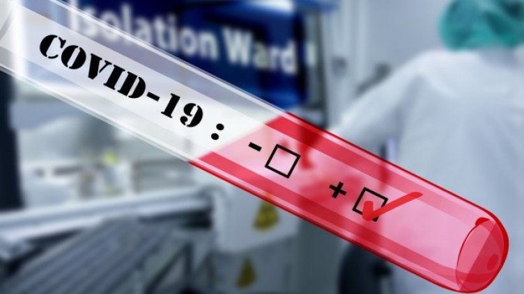 Снимка: Pixabay