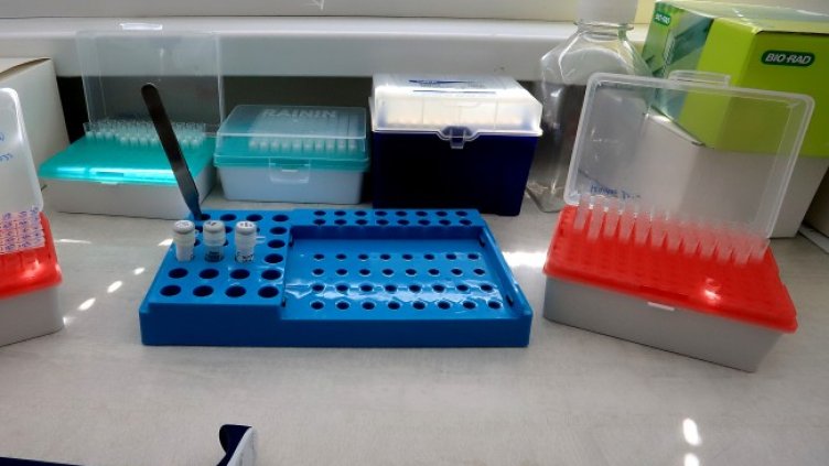 Снимка: архив, БГНЕС