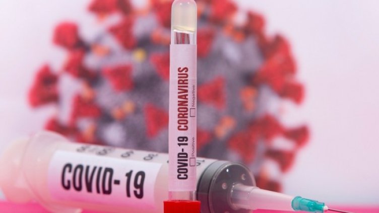 Снимка: Pixabay