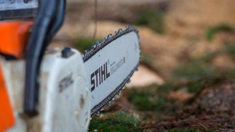 Снимка: Pixabay