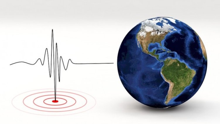 Снимка: Pixabay