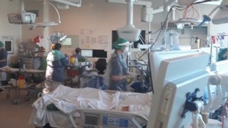 Снимка: БГНЕС