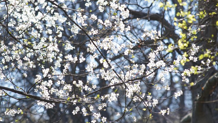 Снимка: БГНЕС/ EPA