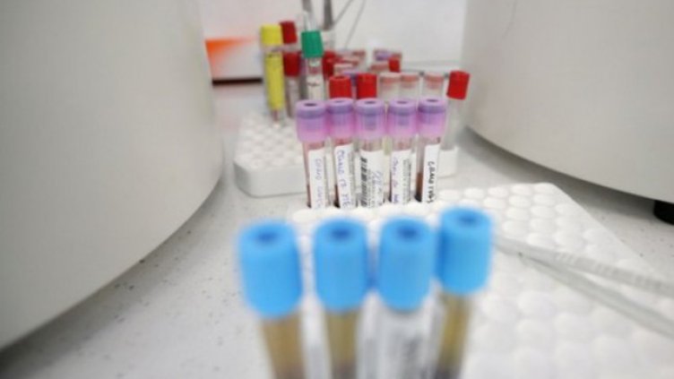 Снимка: Димитър Кьосемарлиев